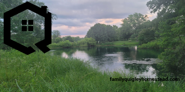 Family Quigley Homestead